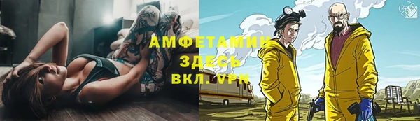 шишки Беломорск
