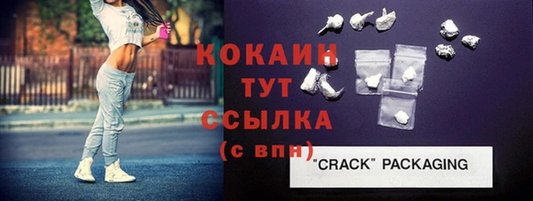молекула духа Белоозёрский