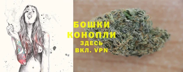 шишки Беломорск