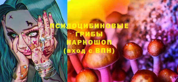 дживик Белокуриха