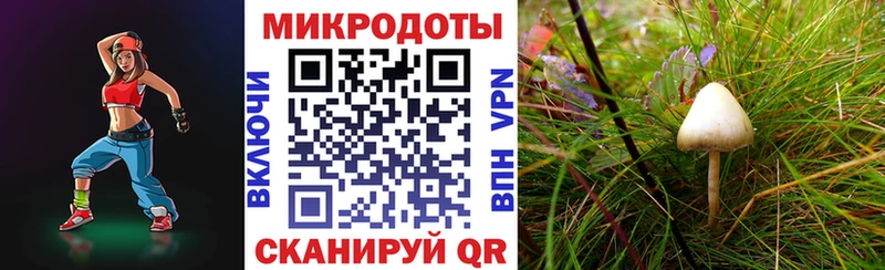 Псилоцибиновые грибы мицелий  Гулькевичи 