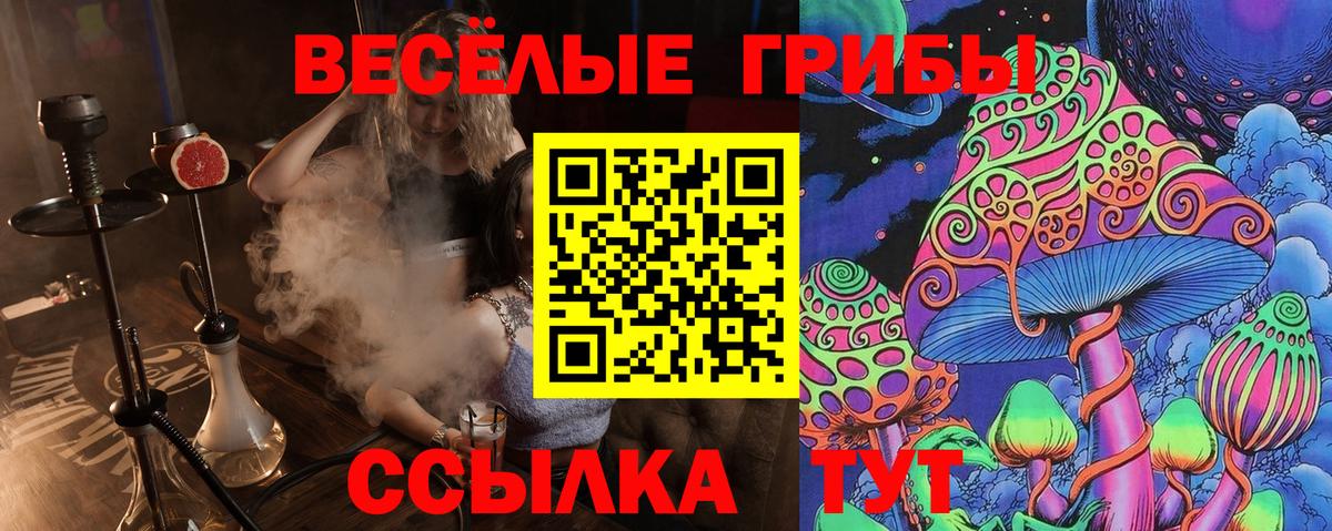 Псилоцибиновые грибы мицелий  Вход с VPN  Гулькевичи 