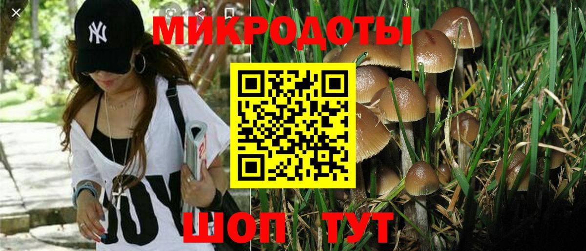  КОКАИН Гулькевичи