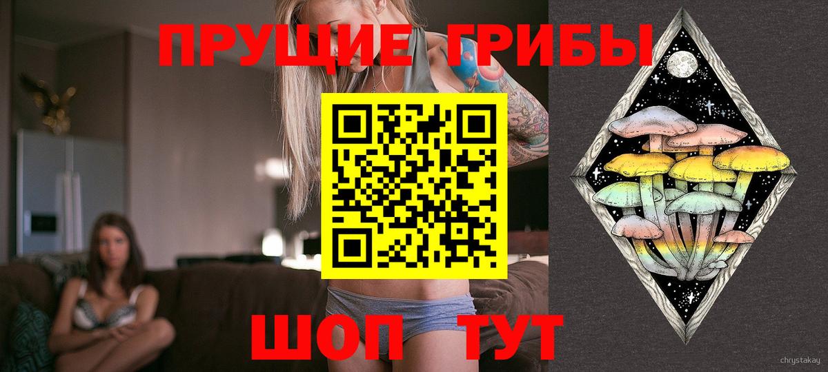 Галлюциногенные грибы Cubensis Гулькевичи