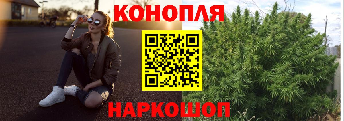 Конопля OG Kush  Марихуана SATIVA & INDICA  Гулькевичи 